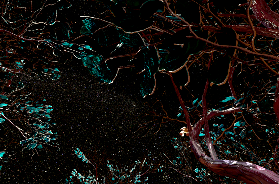 Of Hybrids & Strings, a VR artwork by Lauren Moffatt. A Worlding with the trouble commission by Fabbula