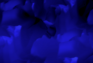 Phonocene, Vinciane Despret, Antoine Bertin, Mélanie Courtinat, Fabien Siouffi, Fabbula
